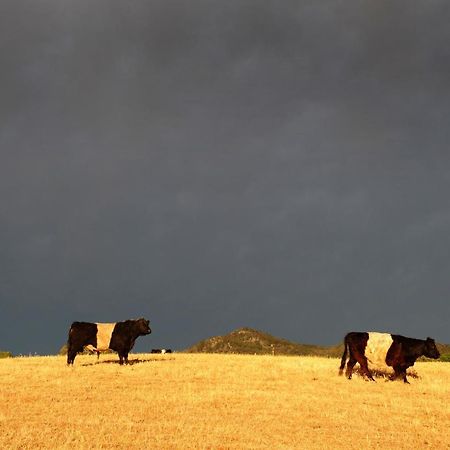 Peppertree Farm Mudgee Villa Екстериор снимка