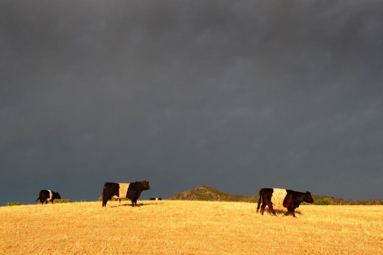 Peppertree Farm Mudgee Villa Екстериор снимка
