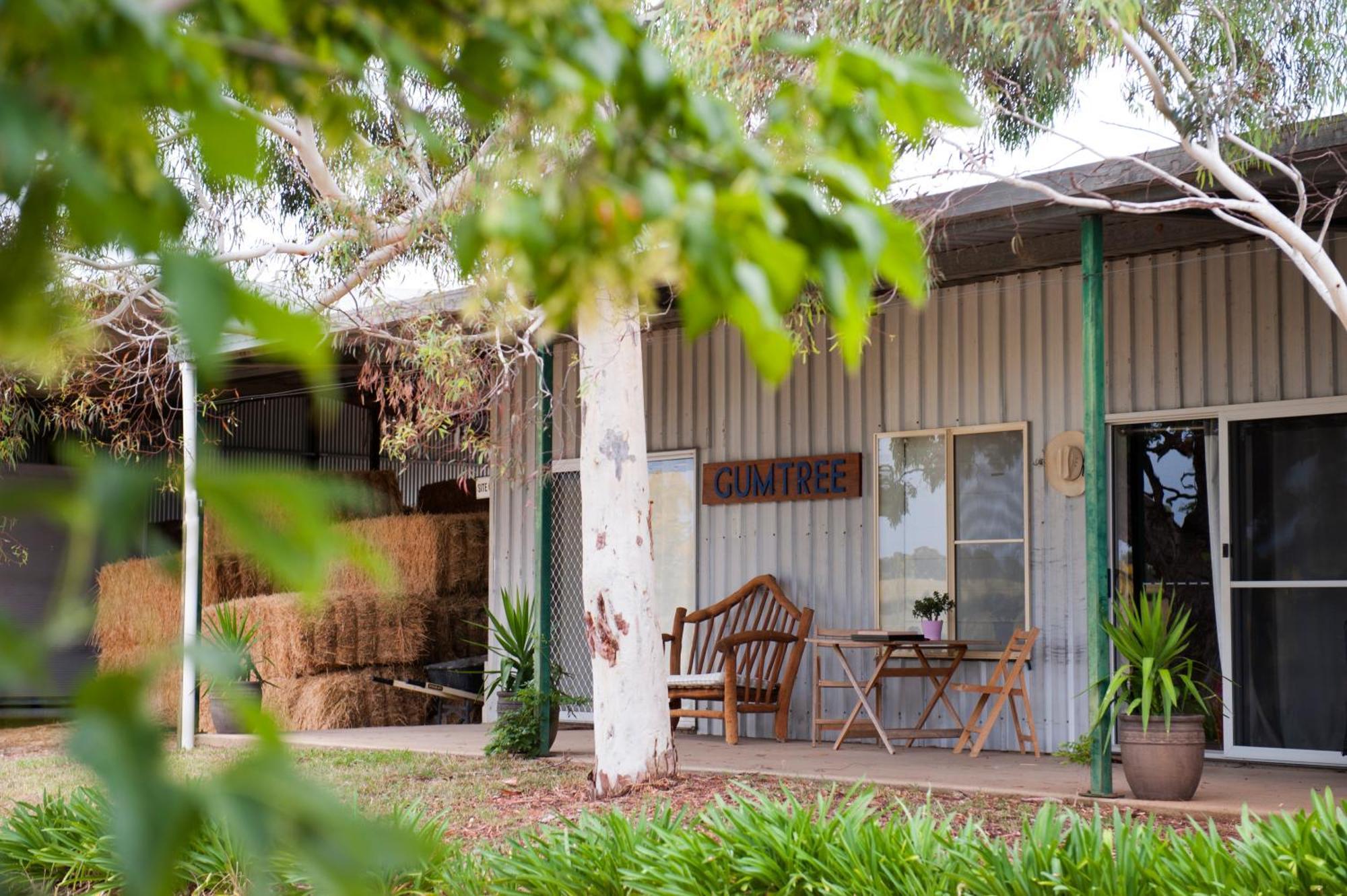 Peppertree Farm Mudgee Villa Екстериор снимка